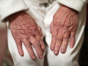 Supporting image for story: Researchers investigating if drugs can be repurposed to combat dementia