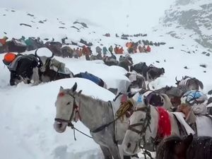 Supporting image for story: Snowstorm traps hundreds of hikers on Mount Everest