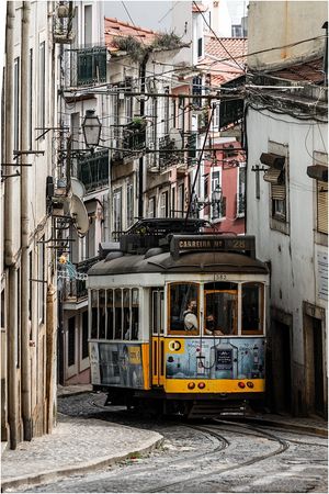 The Number 28 by Mick Richardson