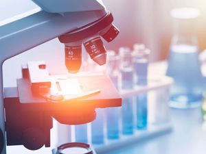 Supporting image for story: Vaginal mesh material degrades within 60 days of implantation in pelvis – study