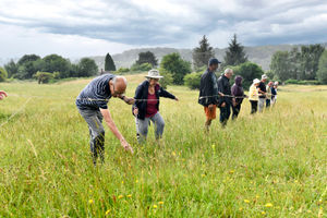 The Lodge Field and Beeches Fields Local Nature Reserves annual orchid count. Picture by DAVE BAGNALL