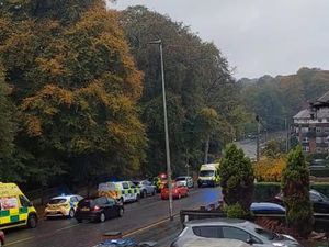 Supporting image for story: Halloween event cancelled after body of man found in Warley Woods