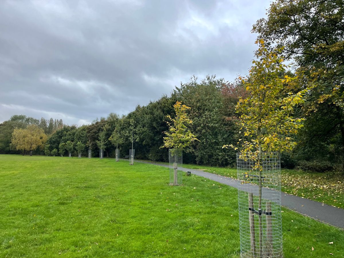 Department for Education remains silent over ‘VIP lane’ free school coming to Walsall