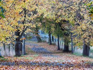 Supporting image for story: The Black Country's best restaurants and pubs to combine with a scenic after-dinner walk this autumn