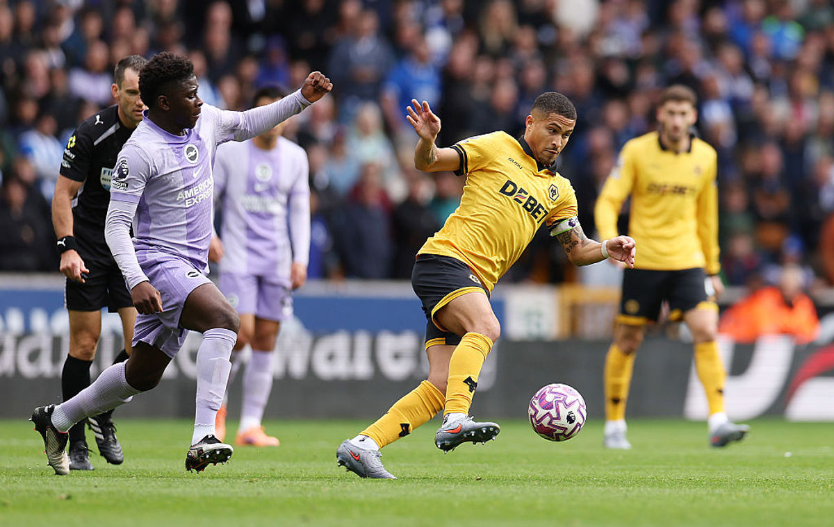 Wolves 1 Brighton 1 - Report