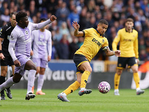 Supporting image for story: Wolves 1 Brighton 1 - Report