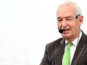 Supporting image for story