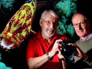 Supporting image for story: Newport photographer focusses lens on underwater creatures
