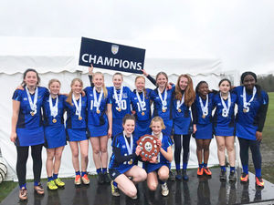 Supporting image for story: Lacrosse national champions