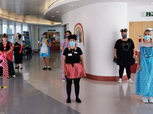 Supporting image for story: Disney Day delight for young patients at Russells Hall Hospital
