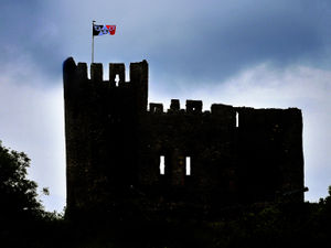 Supporting image for story: COMMENT: I’m Yam Yam and proud - but don’t call me Brummie 