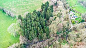 Peartree Cottage sits within a five-acre site. Picture: Rightmove/Town and Country Property Auctions.