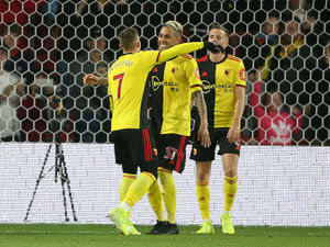 Supporting image for story: Wolves v Watford: Inside track on the Hornets