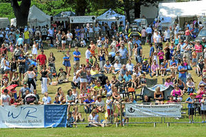Crowds relax in the sun as they watch Newport Show. Organisers described the show as the best in more than 100 years.