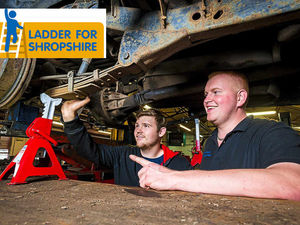 Supporting image for story: Ladder for Shropshire: Big career boost for 15 savvy youngsters