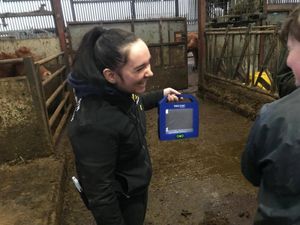 Kaetlin Padgett on placement with the British Limousin Cattle Society