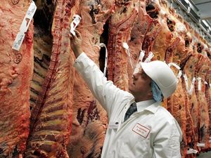 Supporting image for story: Scientists call for ‘meat tax’ to save lives and offset healthcare costs