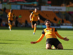 Supporting image for story: Wolves 1 Fulham 0 - Report and pictures 