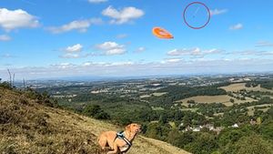 Andrew Clifton was out in the Malvern Hills with his five-year-old Labrador, Dash, when he filmed the unusual sighting.