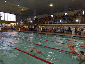 Supporting image for story: New swimming pool in Shrewsbury is vital, say Shropshire Swimming Association