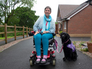 Supporting image for story: 'The canine partner who changed my life': Best of friends near Bridgnorth become inseparable