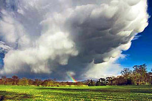 A stunning cloud formation captured over Attingham Park by reader 'Pommysheilah ' who visited the National Trust property