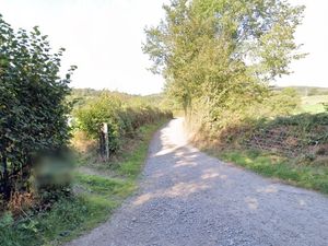 Supporting image for story: South Shropshire farm's plans to diversify campsite