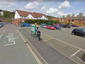 Supporting image for story: Chance to chat about electric cars at Low Carbon Day