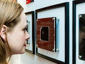 Supporting image for story: You need a special microscope to see the images at this invisible photography exhibition