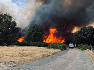 Supporting image for story: Fire which devastated Sutton Coldfield park is blamed on disposable barbecue