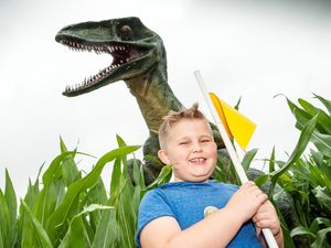 Supporting image for story: The Staffordshire attraction offering dinosaurs, The Wurzels and a Little Mix tribute this summer   