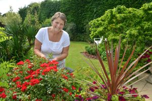 Supporting image for story