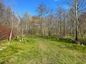Reedswood Park visit March 2025. Site proposed for new SEN school in Walsall 