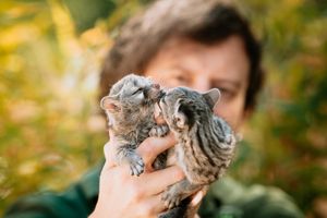 Scott Adams, owner of Telford Exotic Zoo, with two new baby Genets, born at the centre in the past two weeks.