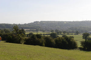 WOLVERHAMPTON NEWS EXPRESS & STAR ( JOHN SAMBROOKS  14/09/2019..Looking towards Seven Cornfields, Penn Common, the site of a proposed housing development...............................................................................................................................................................................................  .............................