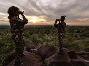 Supporting image for story: Smartphones used to create ‘virtual rangers’ to deter poachers