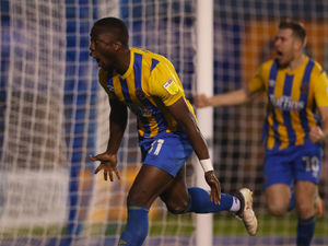 Supporting image for story: Shrewsbury strikers Ryan Bowman and Daniel Udoh praised for hard work