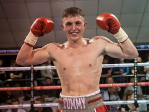 Supporting image for story: Tommy Loach looking for knockout blow