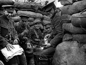 Supporting image for story: Staffordshire talk brings realities of war to life