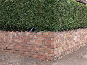 Supporting image for story: A man has been arrested on suspicion of causing death by dangerous driving following a fatal Smethwick road collision that killed a 62-year-old woman pedestrian