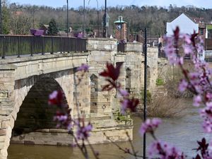 Supporting image for story: Council vows to fix up deteriorating bridge at heart of West Midlands market town - here’s when