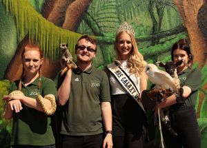 Supporting image for story