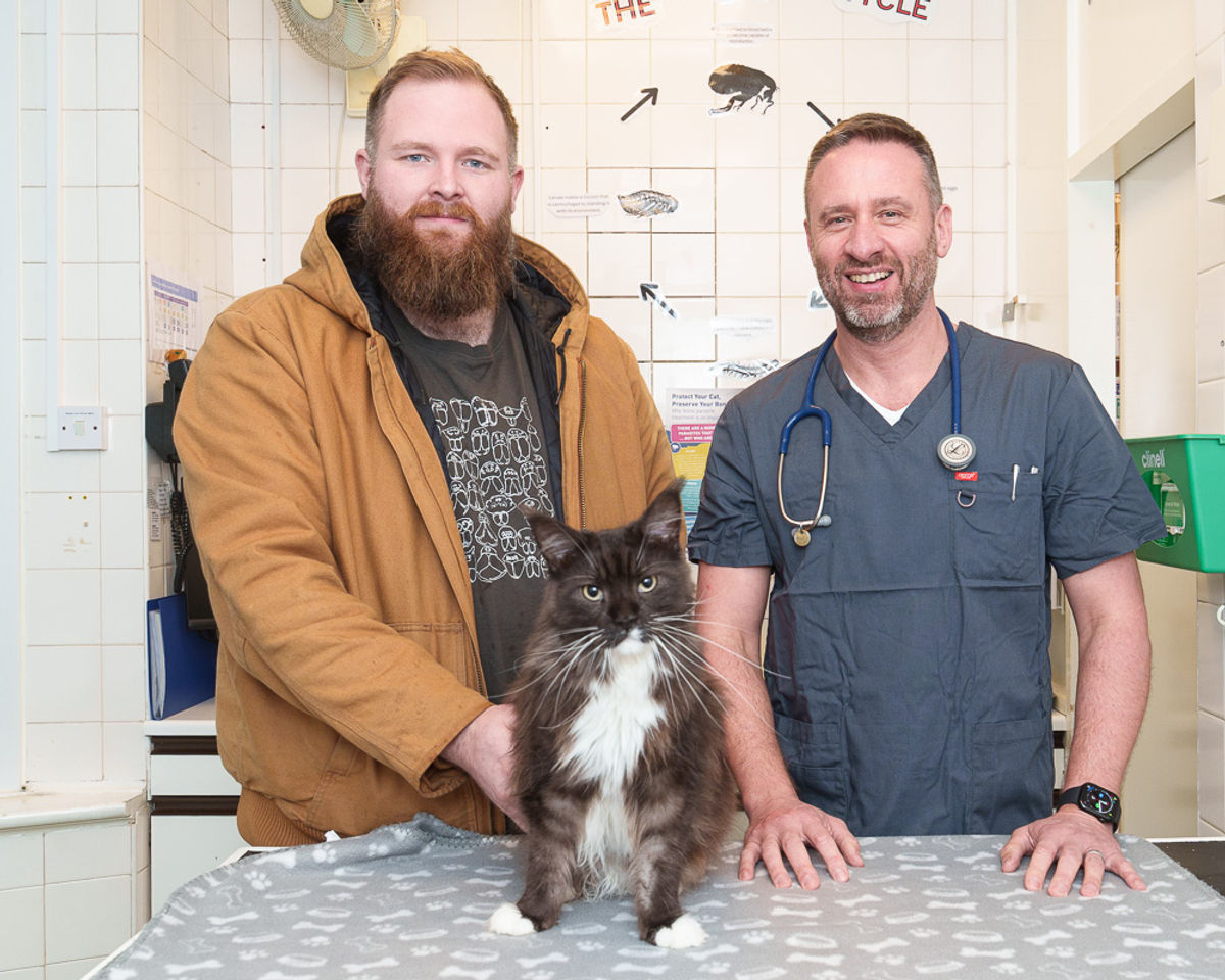 Heroic recovery for Batman the rescue cat after major surgery gets him back on his feet