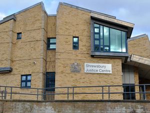 Supporting image for story: Shropshire man found guilty of underage sex assault charge