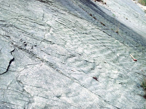 Supporting image for story: Flashback to February 1999: Ripples in the rock reveal Earth’s past