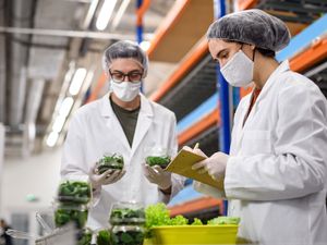 Supporting image for story: Report reveals Telford as biggest improver in region for food hygiene ratings