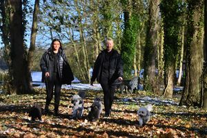  Woodland walks on site for the dogs