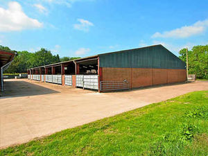 Supporting image for story: Farm prices hit new high