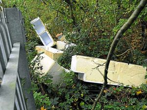 Supporting image for story: Fly-tipping of fridges soars in Walsall