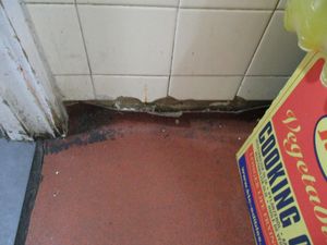 Pizzalicious was visited by health inspectors